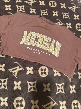 Michigan Graphic Tee in Brown with Gold & White Lettering